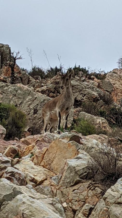 Willa Casa Rustica De Pueblo En Sierra De Alcaraz Salobre  Zewnętrze zdjęcie